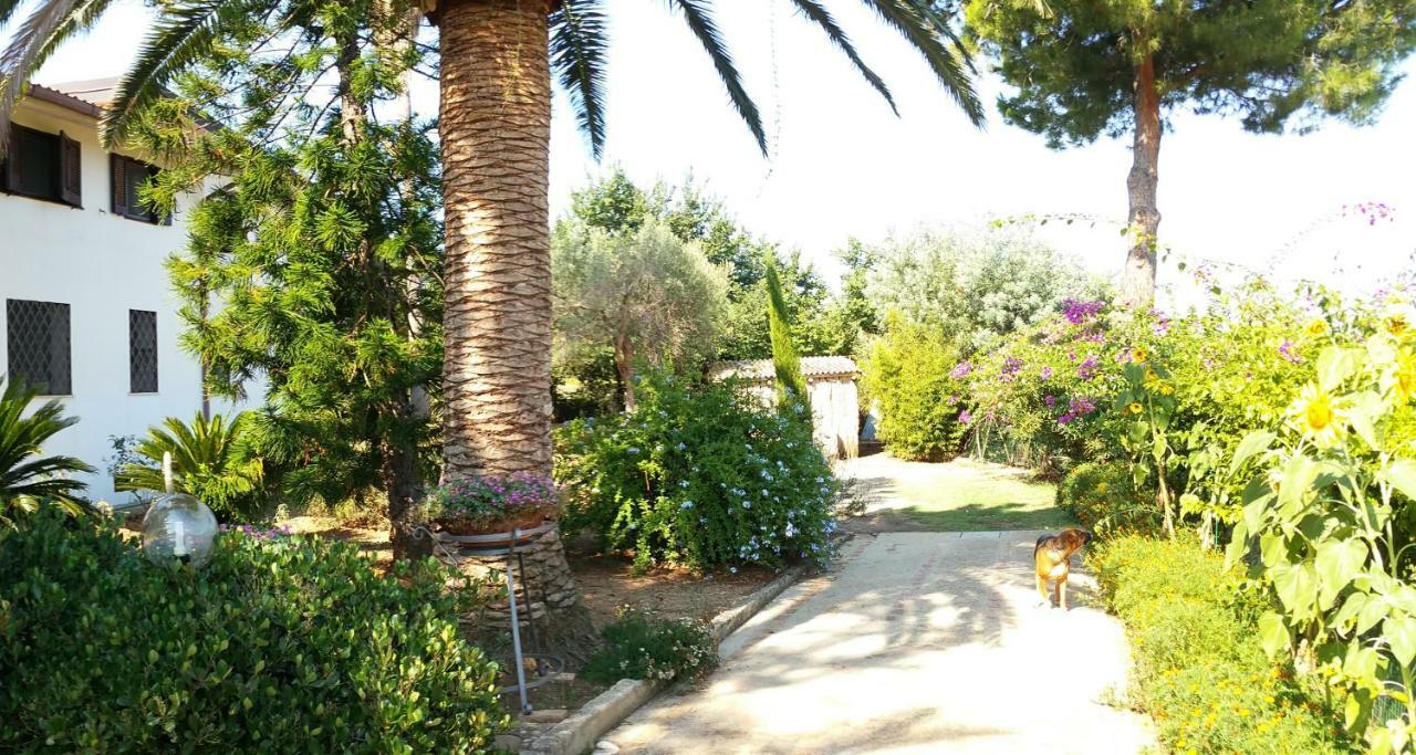 Villa Isabella 잠브로네 외부 사진